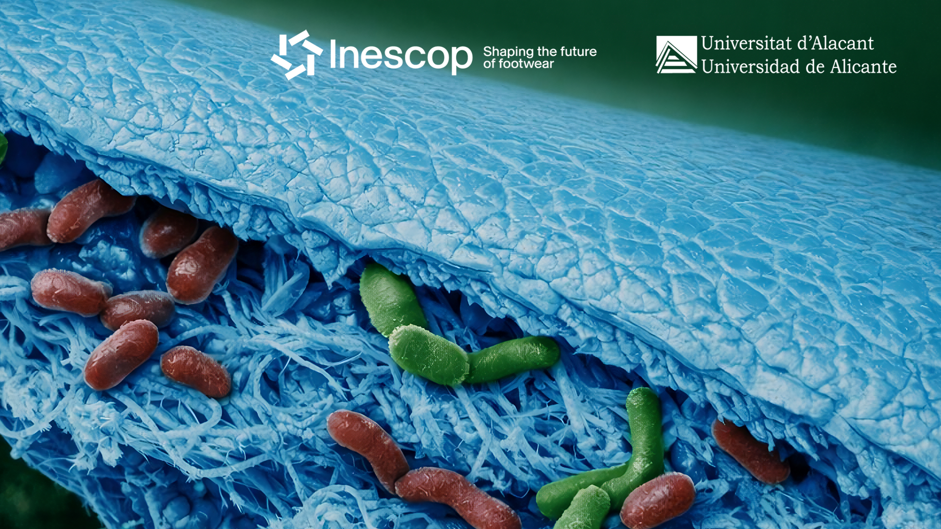 Defensa tesis doctoral - Microorganismos y comunidades microbianas en la biodegradación del cuero curtido: aislamiento, caracterización y aplicaciones biotecnológicas