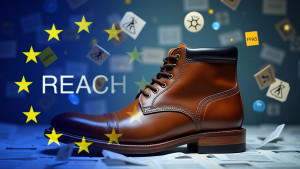 Reglamento REACH en el sector del calzado (Edici&oacute;n online 2026)
